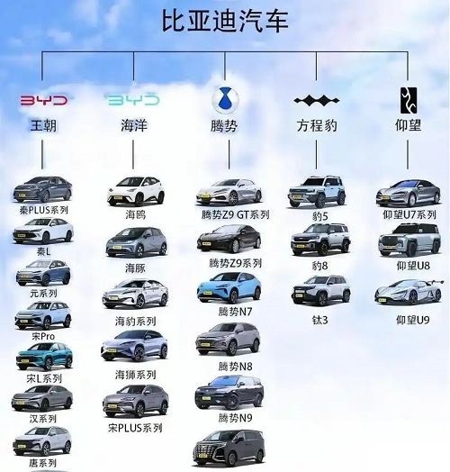 全民智能时代比亚迪重构智驾市场格局