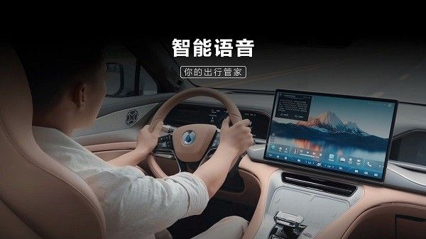 语音功能一定要联网吗